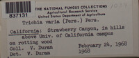 Image Associated With the Occurence